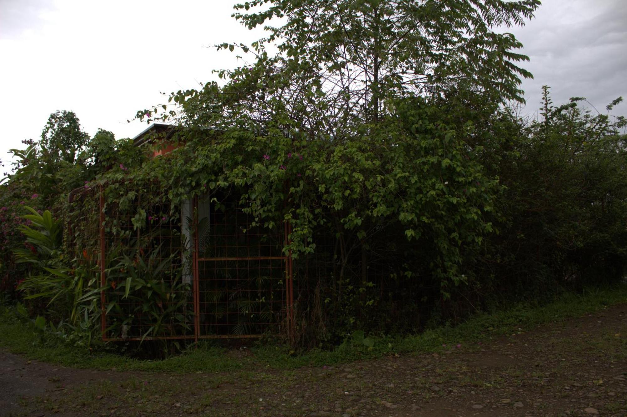 Home La Fortuna Exteriér fotografie